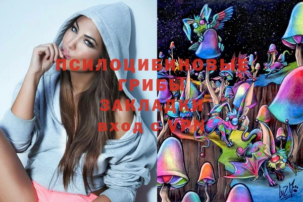гашиш Ельня