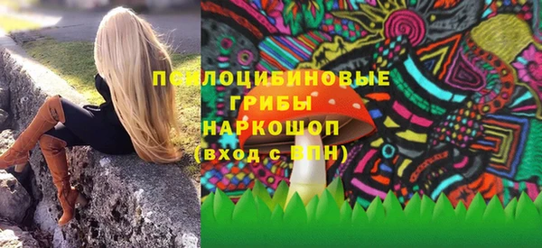 сатива Дмитров