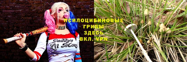 сатива Дмитров